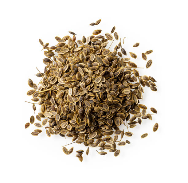 Natural Dill Seeds